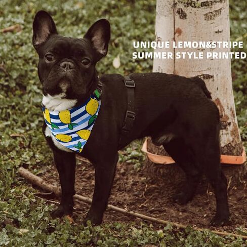 Dog's Collar with Bandanas for Small and Meidum Puppy Novelty Printed Pet Scarf,Colore Bone,Large in Saudi Arabia
