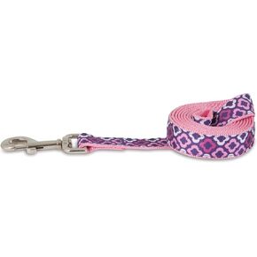 Petmate Geo Leash, 1" x 6', Purple