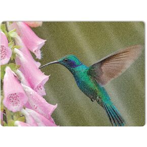 MightySkins Glossy Glitter Skin Compatible with Microsoft Surface Laptop 5 15" Full Wrap Kit - Hummingbird | Protective, Durable High-Gloss Glitter Finish | Easy to Apply | Made in The USA