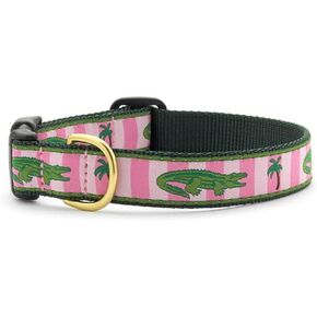 Up Country All C L Alligator Dog Collar Width 1 "