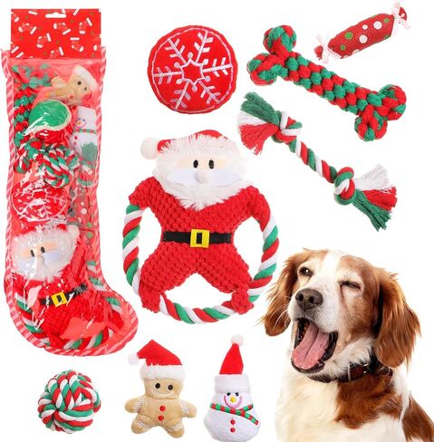 10 Pieces Christmas Dog Toys Gifts Dog Christmas Stocking with Assorted Toys for Puppy Chew Rope Toys for Teething for Small and Medium Dogs in Kuwait