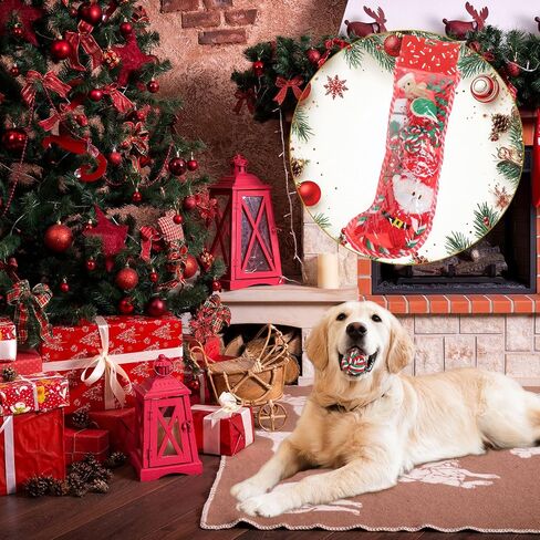 10 Pieces Christmas Dog Toys Gifts Dog Christmas Stocking with Assorted Toys for Puppy Chew Rope Toys for Teething for Small and Medium Dogs in Kuwait