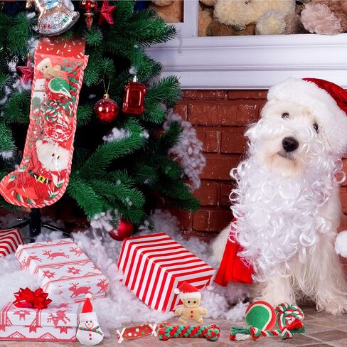 10 Pieces Christmas Dog Toys Gifts Dog Christmas Stocking with Assorted Toys for Puppy Chew Rope Toys for Teething for Small and Medium Dogs in Kuwait