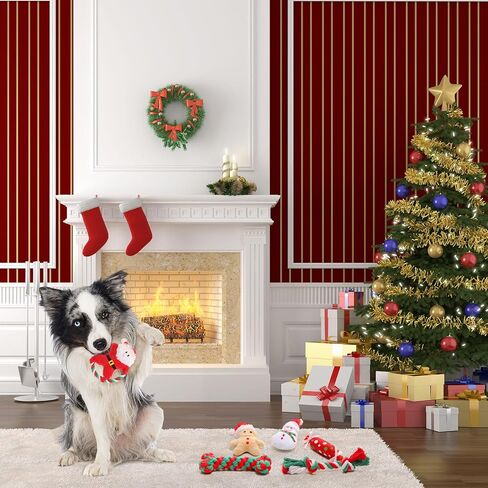 10 Pieces Christmas Dog Toys Gifts Dog Christmas Stocking with Assorted Toys for Puppy Chew Rope Toys for Teething for Small and Medium Dogs in Kuwait