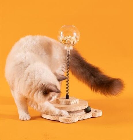 القط التفاعلية علاج الكرة لعبة المغذية تسرب لعبة الخشب الربيع لعبة تعقب متعة الحيوانات الأليفة القط لعبة ل هريرة جرو داخلي اللعب لعبة in Kuwait