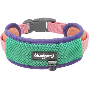 Blueberry Pet Vibrant Mesh Padded Dog Collar, Coral&Mint, Medium, 14.5"-20" Neck | Award-Winning, Pink & Purple Dog Collars for Medium & Large Dogs | Girl & Female Dog Collar