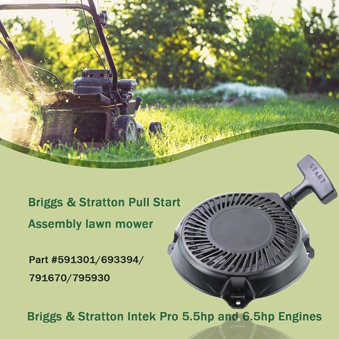 590607 Recoil Starter Compatible with Briggs and Stratton 590607 797276 Pull Start Assembly 163cc 208cc Recoil Starter CR950 CR750 Engine with Pull Rope in Saudi Arabia