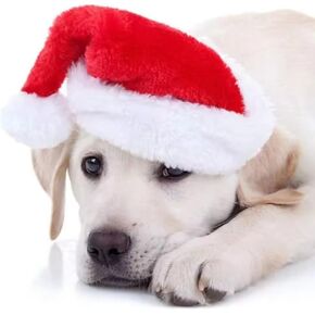 Christmas Dog Pet Hat for Small Dogs Cat Santa Hat Puppy Santa