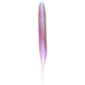 Bass Assassin Shad-4 Per Bag in Saudi Arabia