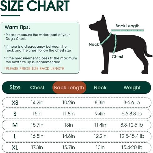 Kuoser Recovery Suit for Dogs Cats After Surgery, Long Sleeve Dog Surgery Recovery Suit, Dog Onesie for Abdominal Wounds Skin Disease, Anti-Licking Pet Surgical Snugly Suit (Purple, M) in Saudi Arabia