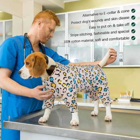 Kuoser Recovery Suit for Dogs Cats After Surgery, Long Sleeve Dog Surgery Recovery Suit, Dog Onesie for Abdominal Wounds Skin Disease, Anti-Licking Pet Surgical Snugly Suit (Purple, M) in Saudi Arabia