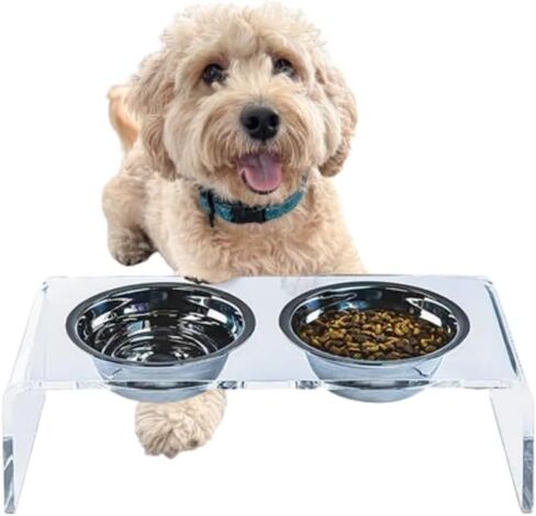 Acrylic Elevated Bowls Pet Feeder, Elevated Dog Bowls, Dog Feeder Station for Small and Medium Dogs (1 Stand + 2 Bowls) in Saudi Arabia