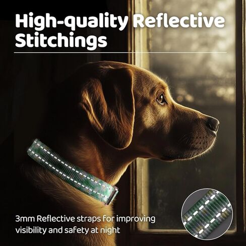 QQPETS Reflective Dog Collar with Metal Buckle Adjustable Nylon Collars Gift for Small Medium Large Boys Girls Dogs in Kuwait