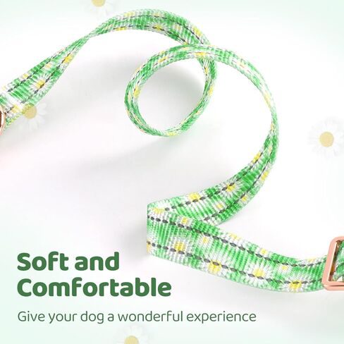 QQPETS Reflective Dog Collar with Metal Buckle Adjustable Nylon Collars Gift for Small Medium Large Boys Girls Dogs in Kuwait