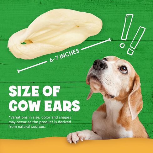 Cows Ears for Dogs, Thick and Large Dog Ears, Single Ingredient and No Odor Cow Treats, Long Lasting Cow Ears, Natural & Grass-fed Dog Treat Animal Ears, Cow Ears for Puppies and All Breeds (15 Pack) in Kuwait