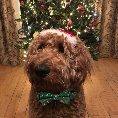 2 Pack Bow Tie Christmas Dog Collar for Medium Dogs, Quick Release Winter Pet Collar in Saudi Arabia