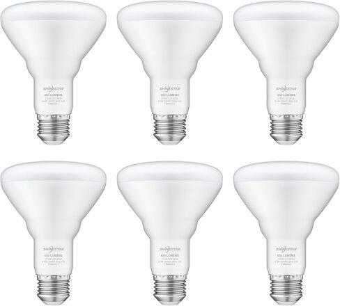 SHINESTAR 4-Pack Vanity Light Bulbs, 60W Equivalent, 5000K Daylight, G25 LED Globe Light Bulbs for Bathroom, E26 Medium Base, Non-Dimmable in Kuwait