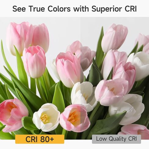 SHINESTAR 4-Pack Vanity Light Bulbs, 60W Equivalent, 5000K Daylight, G25 LED Globe Light Bulbs for Bathroom, E26 Medium Base, Non-Dimmable in Kuwait