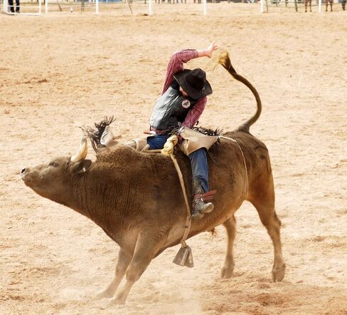 Rodeo Rosin - Rodeo Vest Patch -3 Inch Self Stick Embroidered - Bull Riding & Rough Stock Gear and Rodeo Equipment in Saudi Arabia
