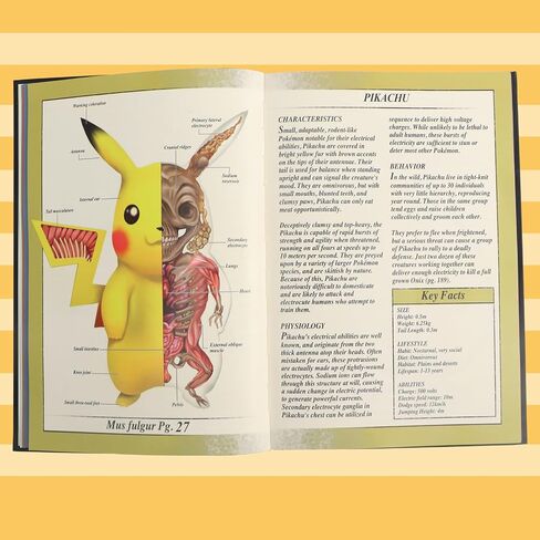 تقويمات مكتب دليل Pokenatomy - الرفيق النهائي لدراسة علم الأحياء Po-ke، طباعة عالية الدقة، 200 صفحة تغطي 100 شخصية كلاسيكية، هدايا عيد ميلاد تعليمية لمحبي الأطفال والكبار in Saudi Arabia