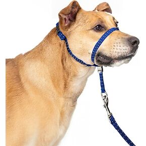 Headcollar for Dogs, Extra Soft Padded, Reflective, No Pull Dog Collar, Gentle Leader for Dogs with Durable Nylon Leash, Padded Handle - Navy Blue (Medium)