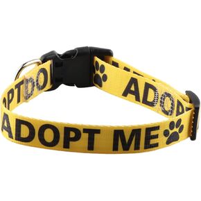 VAMSII Foster Dog Collar Slip On Dog Adopt Me Shelter Dog Collar Envelope Dog Collar Pet Memorial collar（ADOPT ME）