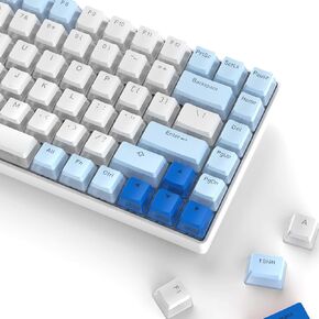 Pudding Keycaps, PBT Keycaps 165 Keys Set Custom Keycap Set, Shine Through Keycaps OEM Profile, Blue & White Keycaps Universal Compatiability for 100%, 75%, 65%, 60% Keyboard