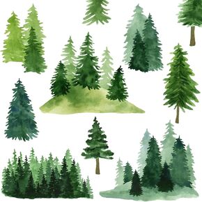 70 Inches Giant Tree Wall Decal White Birch Tree Wall Sticker Large Tree Wall Decals Peel and Stick Forest Tree Wall Sticker Nature Tree Wall Stickers for Bedroom Nursery Living Room