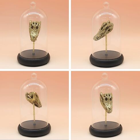 Lukitas Fox and Owl Statues Decor, Animal Group Sculptures, Creative Decoration for Living Room Office, Golden, Resin 11'' in Saudi Arabia