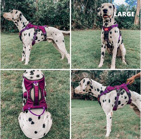 تم تحديث Tuff Pupper لعام 2022 - حزام تتبع الكلاب بدون الهروب | ملحقات المقود المزدوج المقاوم للهروب | حزام قابل للتعديل بخمس نقاط للكلاب | حزام مبطن للكلاب من أجل الراحة | التعامل مع تسخير رفع الكلب in Kuwait