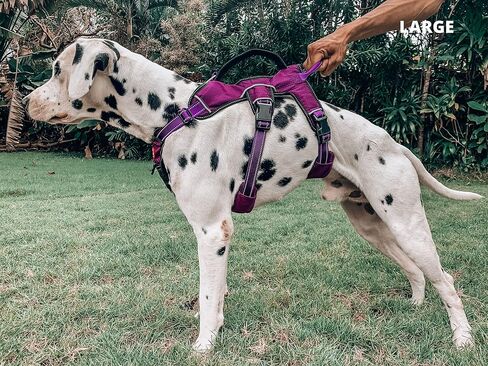 تم تحديث Tuff Pupper لعام 2022 - حزام تتبع الكلاب بدون الهروب | ملحقات المقود المزدوج المقاوم للهروب | حزام قابل للتعديل بخمس نقاط للكلاب | حزام مبطن للكلاب من أجل الراحة | التعامل مع تسخير رفع الكلب in Kuwait