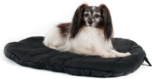 Back On Track Dog Travel Beds in Saudi Arabia