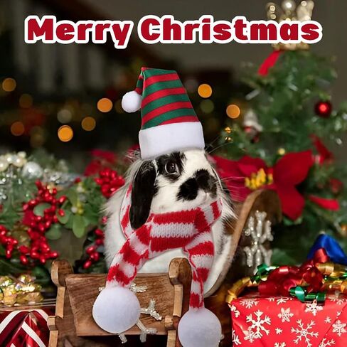 12 Pcs Mini Christmas Pet Hats Chicken Hat Scarf Set Tiny Santa Duck Hats for Crafts Santa Hamster Lizard Hats Xmas Guinea Pig Costume with Adjustable Chin Strap for Hen Hamster Kitty Puppy in Kuwait
