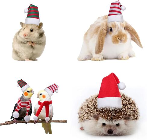 12 Pcs Mini Christmas Pet Hats Chicken Hat Scarf Set Tiny Santa Duck Hats for Crafts Santa Hamster Lizard Hats Xmas Guinea Pig Costume with Adjustable Chin Strap for Hen Hamster Kitty Puppy in Kuwait
