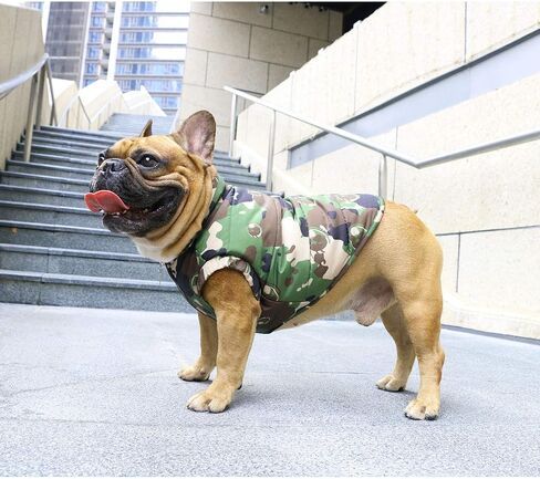 iChoue French Bulldog Frenchie Winter Coats Dog Jackets Cotton Padded Vests for Pug English Boston Terrier Pitbull - Green/Large in Saudi Arabia