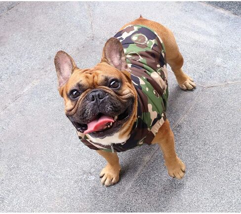 iChoue French Bulldog Frenchie Winter Coats Dog Jackets Cotton Padded Vests for Pug English Boston Terrier Pitbull - Green/Large in Saudi Arabia