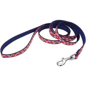 Coastal Pet Ribbon Dog Leash - Contemporary Stylish Look - Durable Fade-Resistant Nylon Material - Perfect for Dogs Brown Paws and Bones, 5/8" x 06'