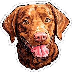 Chesapeake Bay Retriever Sticker Decal Vinyl Small Waterproof for Water Bottle Mug Passport Book Scrapbook Notebook Laptop Tumbler Skateboard Computer Phone Size Funny Gift Car Stickers ID44990