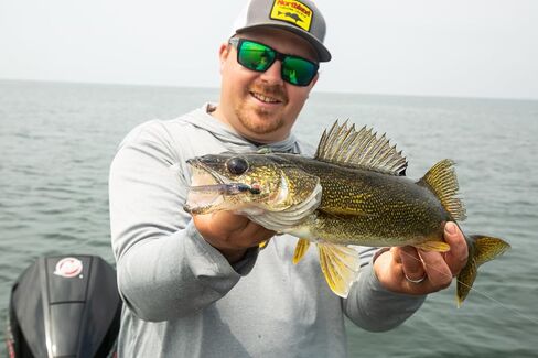 Northland Tackle Eye Candy Jig Crawler Floating 3.5" Soft Plastic Fishing Lure for Walleye Fishing, 12 Realistic Colors, 5 Baits Per Pack in Saudi Arabia