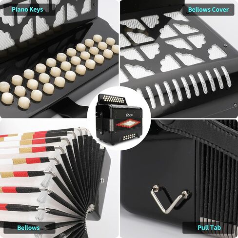 31-Key Diatonic Accordion 12 Bass G/C/F 3-Row Diatonic Accordion Instruments for Adults with Suitcase and Straps in Saudi Arabia