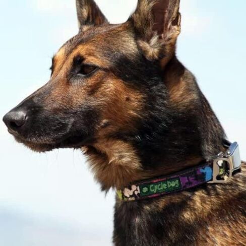 Blue Space Dots Standard Width Collar with Metal Buckle - Medium in Saudi Arabia