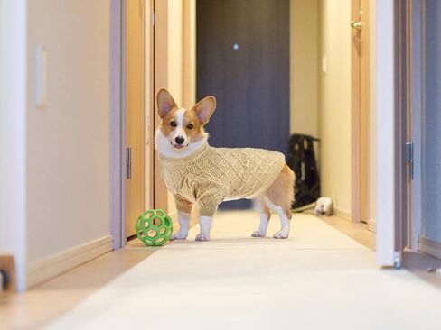 Vehomy Dog Pullover Sweater Small Dog Spring Clothes with Rhombic Pattern Puppy Spring Shirt Dog Hollow Pattern Knitwear Puppy Cat Breathable Knitted Shirt Outfit for Small Medium Dogs XL in Saudi Arabia