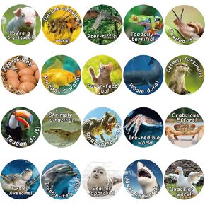 800PCS Punny Rewards Stickers for Classroom Punny Labels Fun Inspiration Stickers Motivational Positive Accents Words Stickers for Kids School Stickers Teacher School Supplies