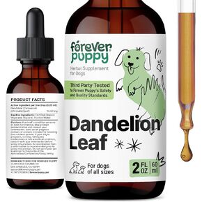 Dandelion Leaf Drops for Dogs - Kidney Health Supplement for Large, Medium & Small Dogs - Kidney Cleanse Detox Drops w/Dandelion Leaves - Dog Food Supplements for Natural Pet Kidney Support - 4 oz