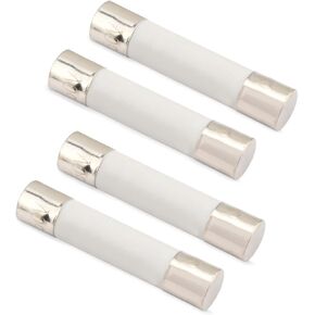 Microwave Fuse 20 Amp 250 Volt Fit for Whirlpool, Microwave Ceramic Line Fuse Replace W10138793 W10422951 AP4308182 14211054 1450877