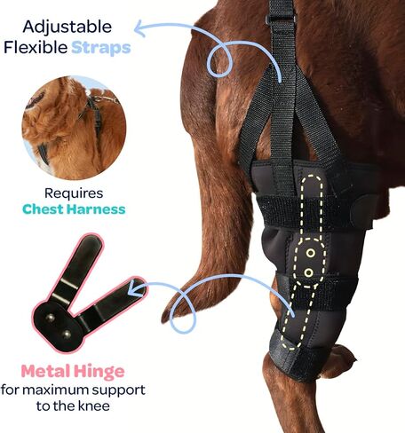 لابرا دوج كانين ركبة التفاف، دعامة دعم مرنة مفصلية جبيرة معدنية لـ K9 ACL، CCL، الرضفة المترفة، التواء الرباط الصليبي في الظهر، الخلفي، الساق الخلفية (كبير جدًا - 75-100 رطل) in Kuwait