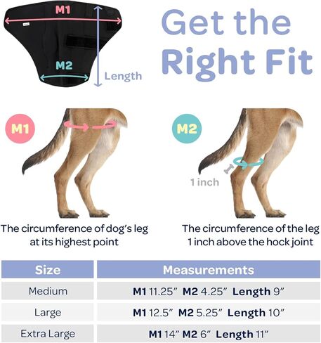 لابرا دوج كانين ركبة التفاف، دعامة دعم مرنة مفصلية جبيرة معدنية لـ K9 ACL، CCL، الرضفة المترفة، التواء الرباط الصليبي في الظهر، الخلفي، الساق الخلفية (كبير جدًا - 75-100 رطل) in Kuwait