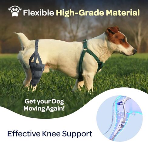 لابرا دوج كانين ركبة التفاف، دعامة دعم مرنة مفصلية جبيرة معدنية لـ K9 ACL، CCL، الرضفة المترفة، التواء الرباط الصليبي في الظهر، الخلفي، الساق الخلفية (كبير جدًا - 75-100 رطل) in Kuwait