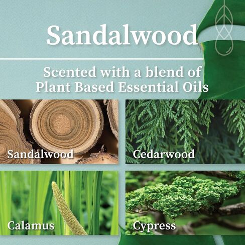 Hemlock Park Room Spray Refill | Plant Based Oils Naturally Scent Your Space (16 oz Refill, Sea Salt Orchid) in Saudi Arabia