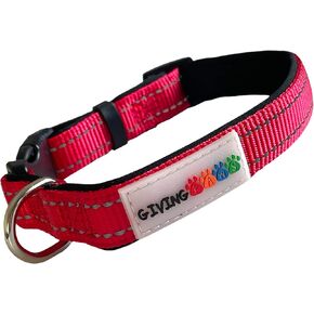 Reflective Padded Nylon Dog Collar - Giving Back to Pets in Need - Comfortable Neoprene Padded, Adjustable and Durable Dog Collar for Small Dogs (Fits 10" to 13" Neck)